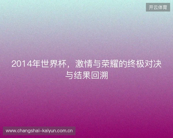 2014年世界杯，激情与荣耀的终极对决与结果回溯